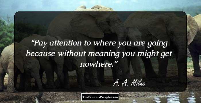 Pay attention to where you are going because without meaning you might get nowhere.