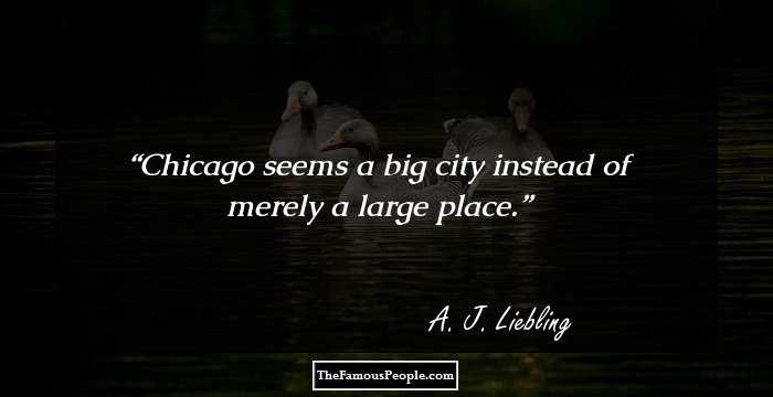 Chicago seems a big city instead of merely a large place.