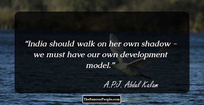India should walk on her own shadow - we must have our own development model.