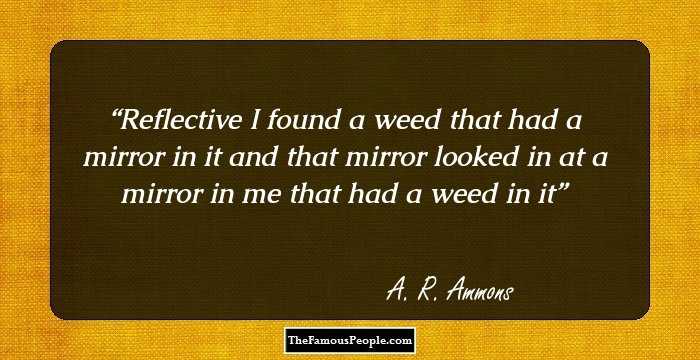 Reflective

I found a
weed
that had a

mirror in it
and that
mirror

looked in at
a mirror
in

me that
had a 
weed in it