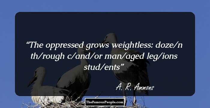 The oppressed grows weightless: doze/n th/rough c/and/or man/aged leg/ions stud/ents