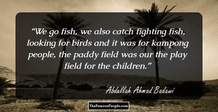 We go fish, we also catch fighting fish, looking for birds and it was for kampong people, the paddy field was our the play field for the children.