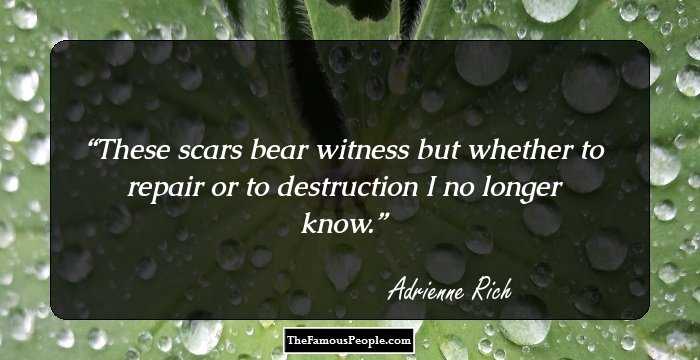 These scars bear witness but whether to repair or to destruction I no longer know.