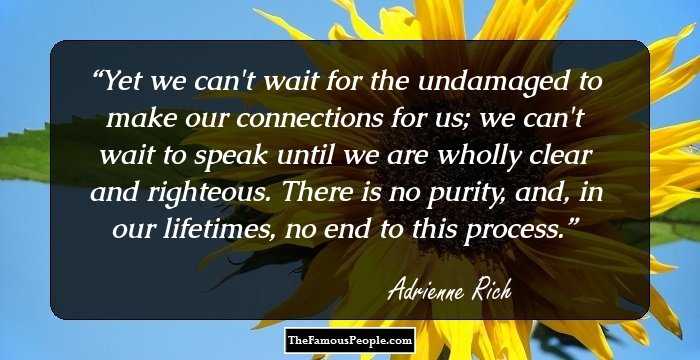 Yet we can't wait for the undamaged to make our connections for us; we can't wait to speak until we are wholly clear and righteous. There is no purity, and, in our lifetimes, no end to this process.