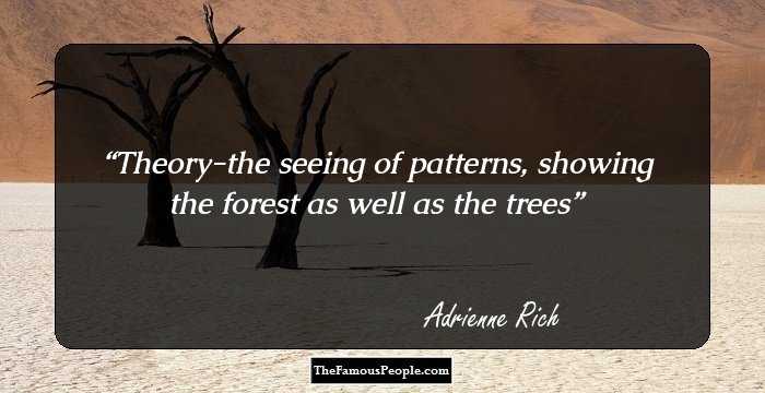 Theory-the seeing of patterns, showing the forest as well as the trees