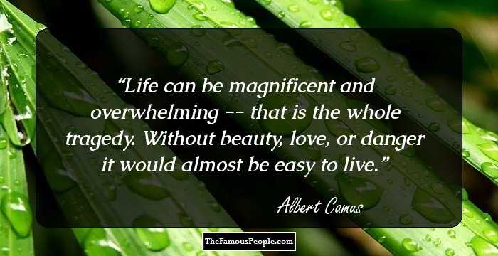 Life can be magnificent and overwhelming -- that is the whole tragedy. Without beauty, love, or danger it would almost be easy to live.