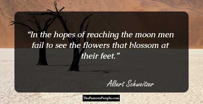 In the hopes of reaching the moon men fail to see the flowers that blossom at their feet.