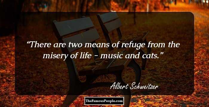 There are two means of refuge from the misery of life - music and cats.
