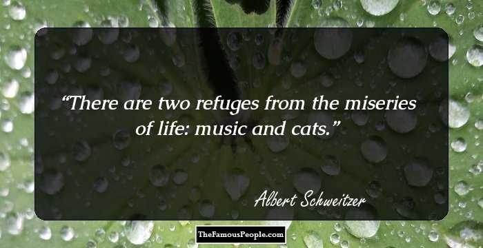 There are two refuges from the miseries of life: music and cats.