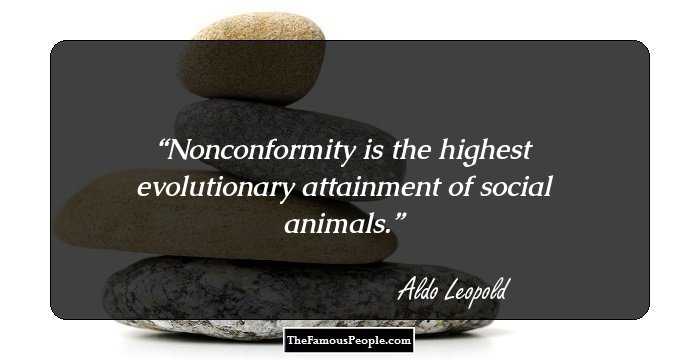 Nonconformity is the highest evolutionary attainment of social animals.