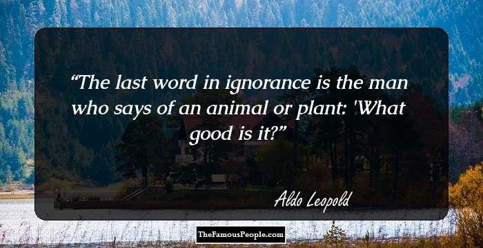 The last word in ignorance is the man who says of an animal or plant: 'What good is it?