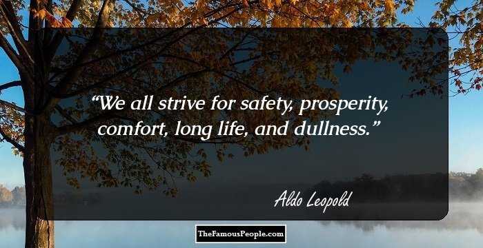 We all strive for safety, prosperity, comfort, long life, and dullness.