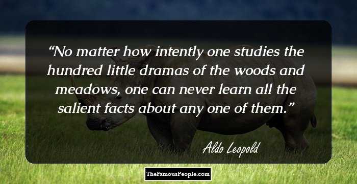 No matter how intently one studies the hundred little dramas of the woods and meadows, one can never learn all the salient facts about any one of them.