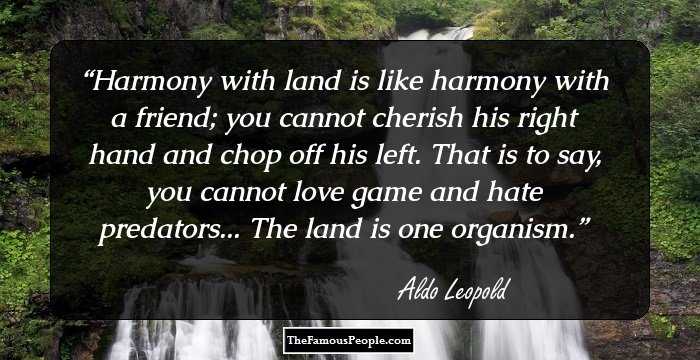 Harmony with land is like harmony with a friend; you cannot cherish his right hand and chop off his left. That is to say, you cannot love game and hate predators... The land is one organism.