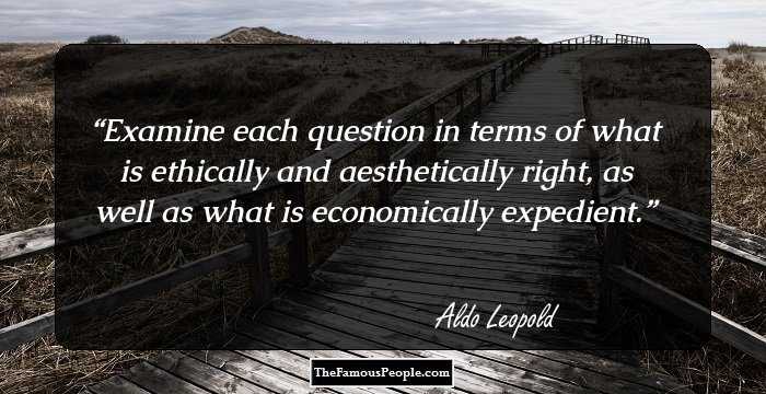 Examine each question in terms of what is ethically and aesthetically right, as well as what is economically expedient.