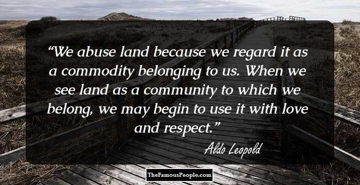 We abuse land because we regard it as a commodity belonging to us. When we see land as a community to which we belong, we may begin to use it with love and respect.
