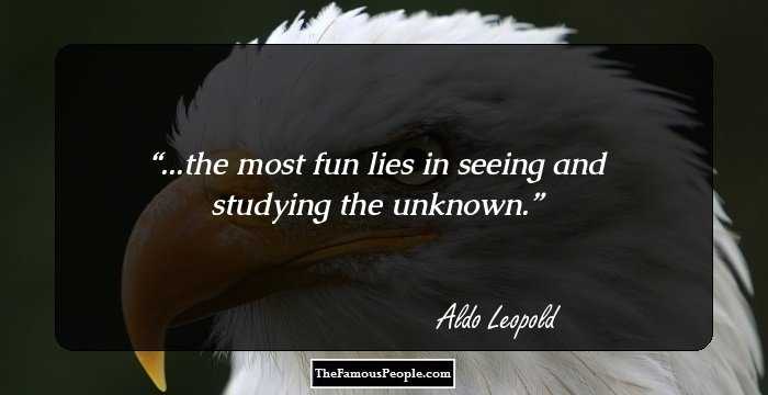 ...the most fun lies in seeing and studying the unknown.