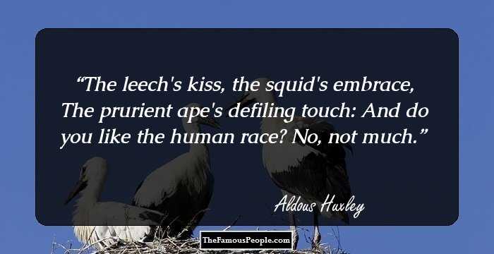 The leech's kiss, the squid's embrace,
The prurient ape's defiling touch:
And do you like the human race?
No, not much.