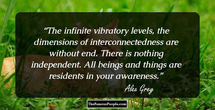 The infinite vibratory levels, the dimensions of interconnectedness are without end. There is nothing independent. All beings and things are residents in your awareness.