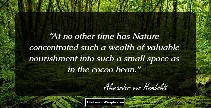 At no other time has Nature concentrated such a wealth of valuable nourishment into such a small space as in the cocoa bean.