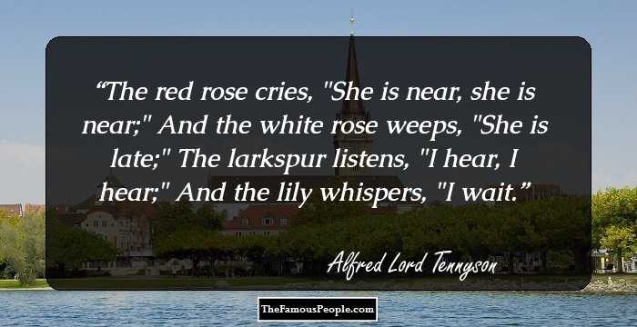 The red rose cries, 