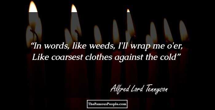In words, like weeds, I'll wrap me o'er,
Like coarsest clothes against the cold