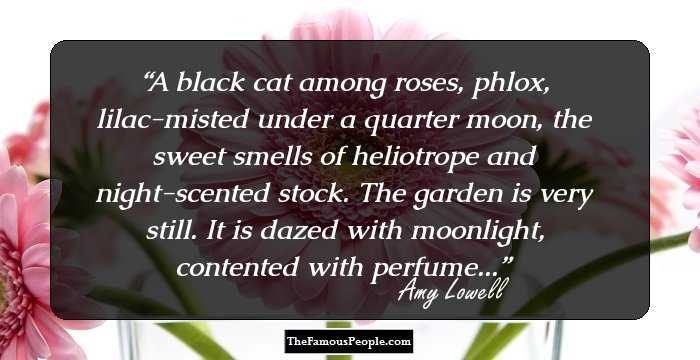 A black cat among roses, phlox, lilac-misted under a quarter moon, the sweet smells of heliotrope and night-scented stock. The garden is very still. It is dazed with moonlight, contented with perfume...