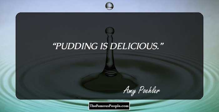 PUDDING IS DELICIOUS.