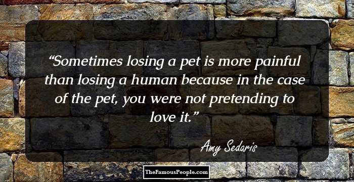 Sometimes losing a pet is more painful than losing a human because in the case of the pet, you were not pretending to love it.