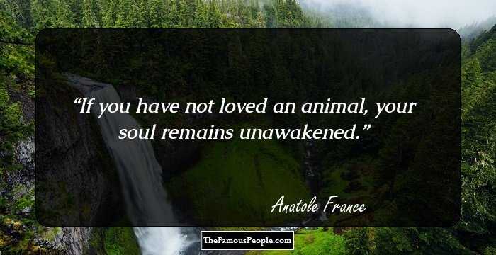 If you have not loved an animal, your soul remains unawakened.