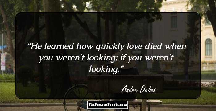 He learned how quickly love died when you weren't looking; if you weren't looking.