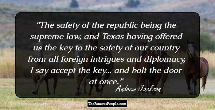 The safety of the republic being the supreme law, and Texas having offered us the key to the safety of our country from all foreign intrigues and diplomacy, I say accept the key... and bolt the door at once.
