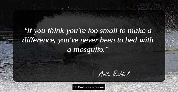 If you think you're too small to make a difference, you've never been to bed with a mosquito.