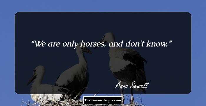 We are only horses, and don't know.