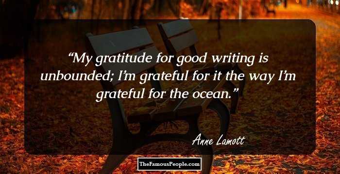 My gratitude for good writing is unbounded; I’m grateful for it the way I’m grateful for the ocean.