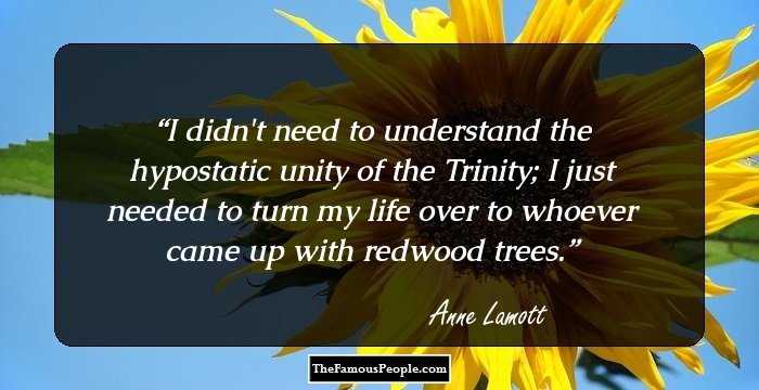 I didn't need to understand the hypostatic unity of the Trinity; I just needed to turn my life over to whoever came up with redwood trees.