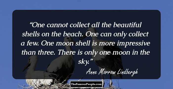 One cannot collect all the beautiful shells on the beach. One can only collect a few. One moon shell is more impressive than three. There is only one moon in the sky.