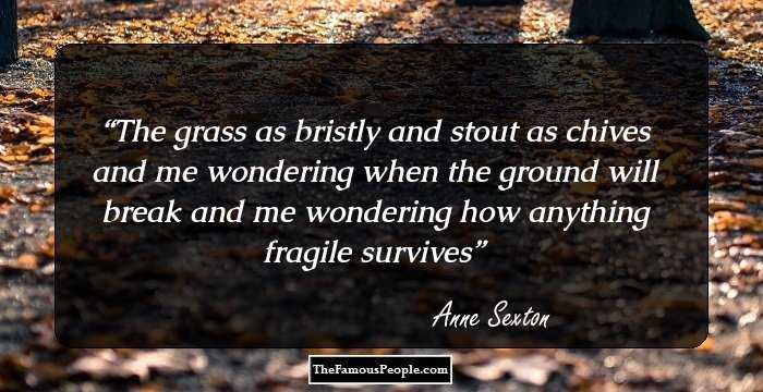 The grass as bristly and stout as chives and me wondering when the ground will break and me wondering how anything fragile survives