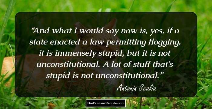 And what I would say now is, yes, if a state enacted a law permitting flogging, it is immensely stupid, but it is not unconstitutional. A lot of stuff that's stupid is not unconstitutional.