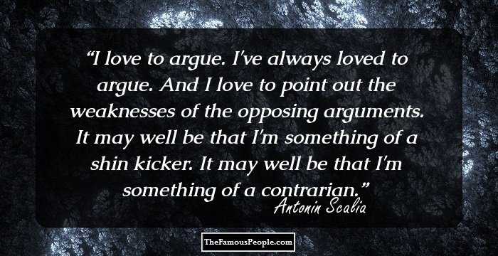 I love to argue. I've always loved to argue. And I love to point out the weaknesses of the opposing arguments. It may well be that I'm something of a shin kicker. It may well be that I'm something of a contrarian.