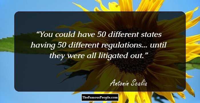 You could have 50 different states having 50 different regulations... until they were all litigated out.