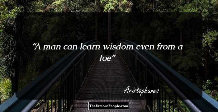 A man can learn wisdom even from a foe