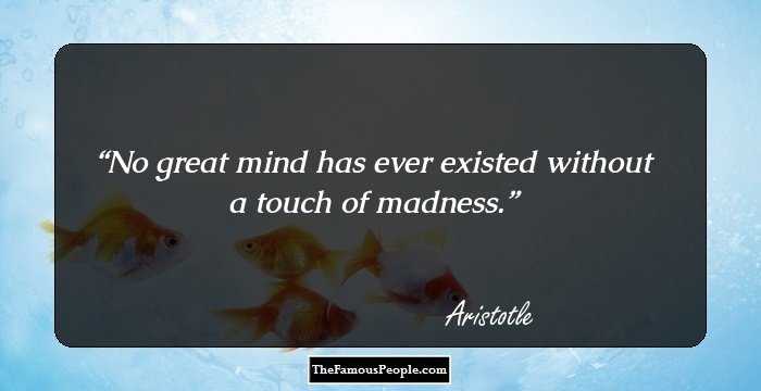 No great mind has ever existed without a touch of madness.