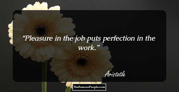 Pleasure in the job puts perfection in the work.