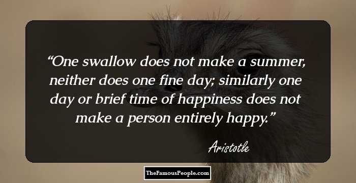 One swallow does not make a summer,
neither does one fine day; 
similarly one day or brief time of happiness does not make a person entirely happy.