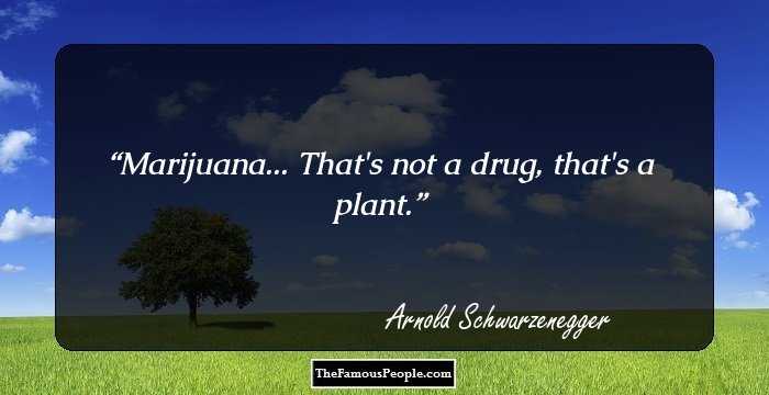 Marijuana... That's not a drug, that's a plant.
