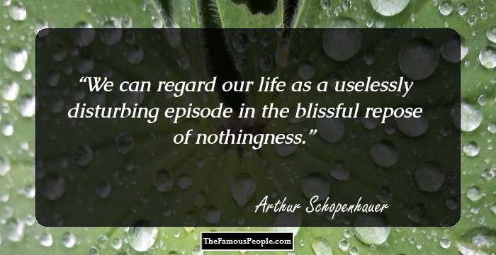 We can regard our life as a uselessly disturbing episode in the blissful repose of nothingness.