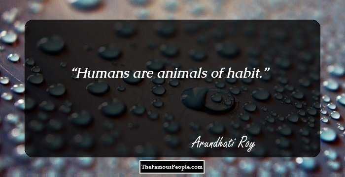 Humans are animals of habit.