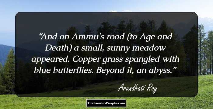 And on Ammu's road (to Age and Death) a small, sunny meadow appeared. Copper grass spangled with blue butterflies. Beyond it, an abyss.
