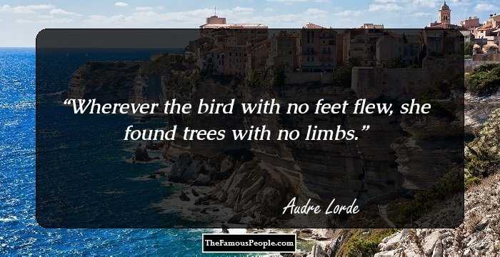 Wherever the bird with no feet flew, she found trees with no limbs.